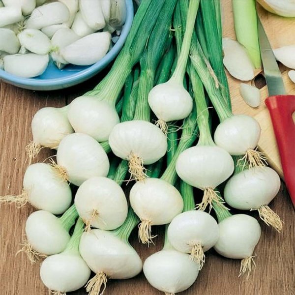 Sipuli 'De Vaugirard'