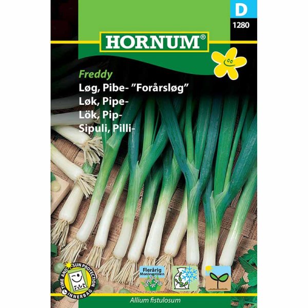 Pillisipuli 'Kaigaro'