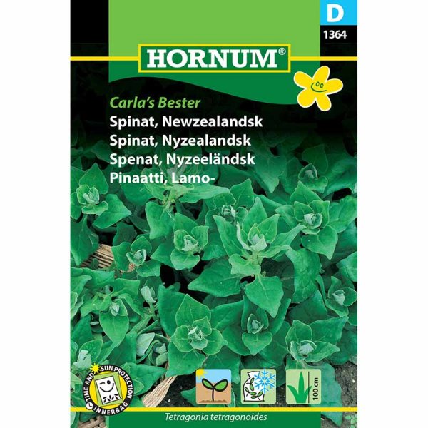 Uusiseelannin pinaatti 'Carlas Bester'