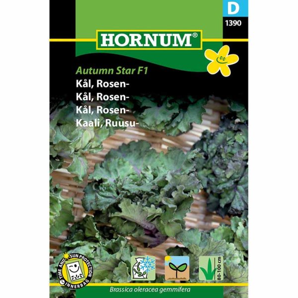 Ruusukaali 'Autumn Star' F1