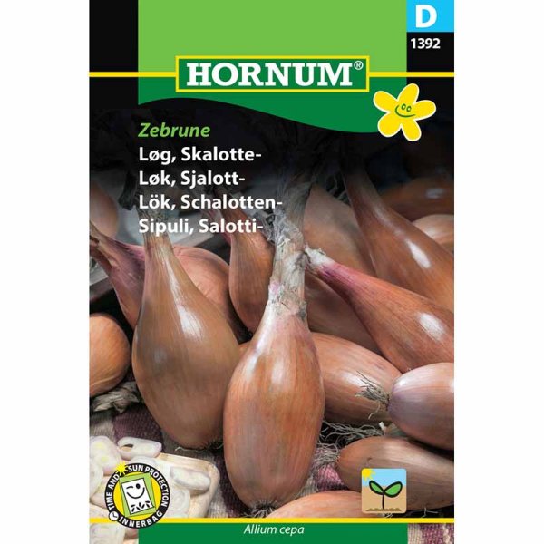 Salottisipuli 'Zebrune'