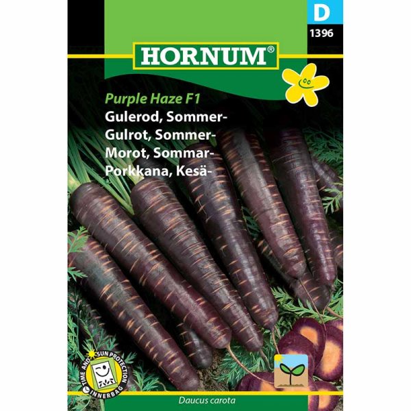 Kesäporkkana 'Purple Haze' F1
