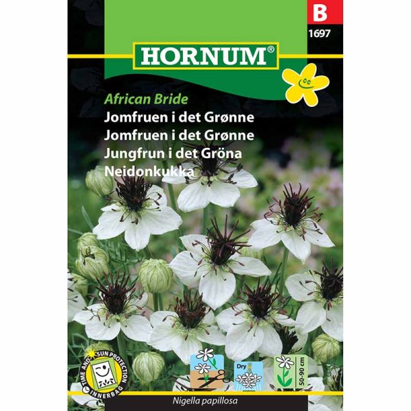 Neidonkukka 'African Bride'