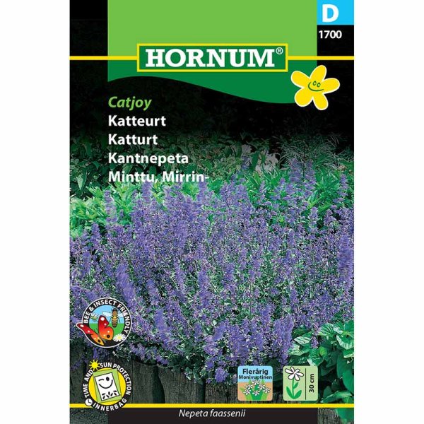 Kissanminttu 'Catjoy'