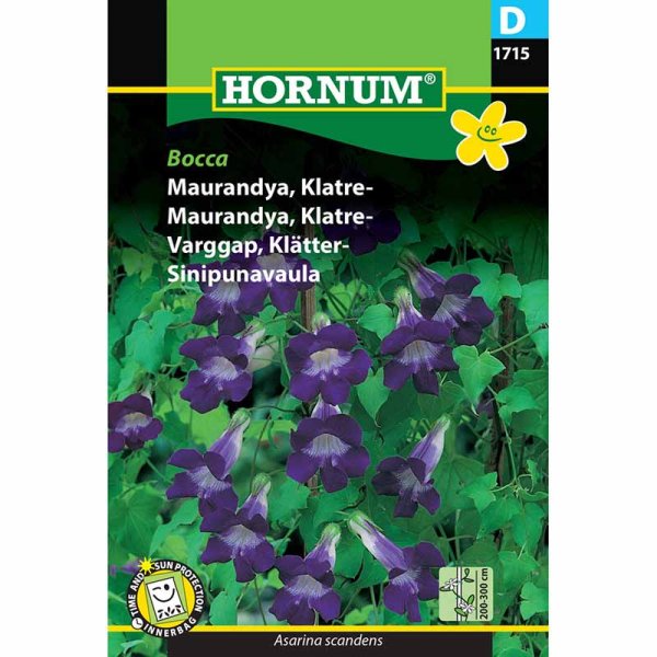 Köynnösleijonankita 'Bocca'