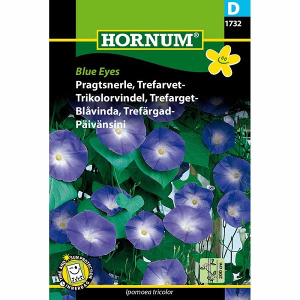 Kolmivärinen aamukukka 'Blue Eyes'