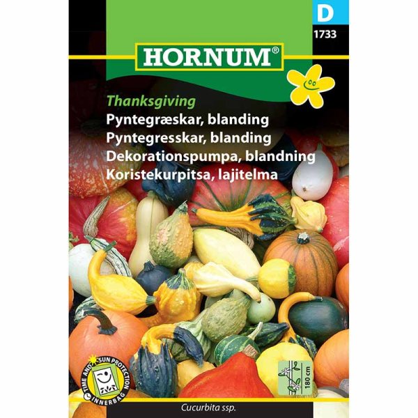 Koristekurpitsa 'Thanksgiving'