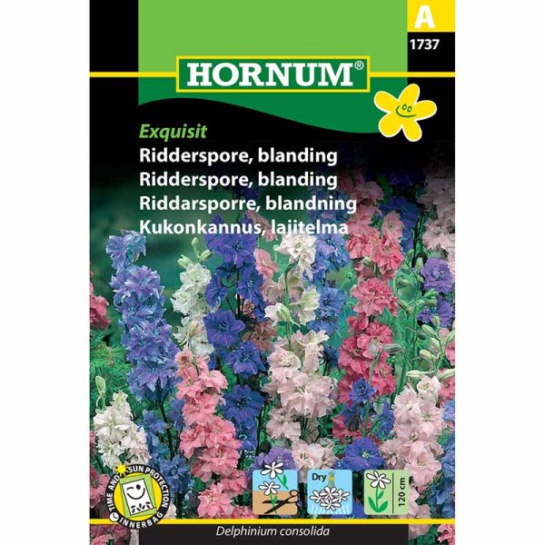 Ritarinkannus 'Exquisit'