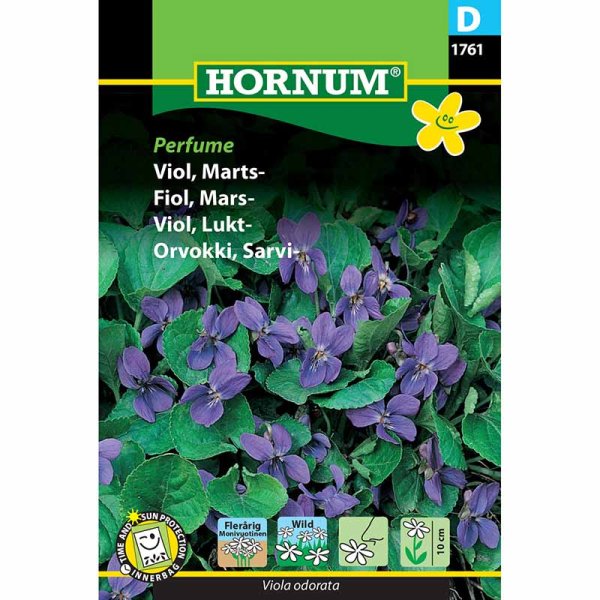 Tuoksuorvokki 'Perfume'