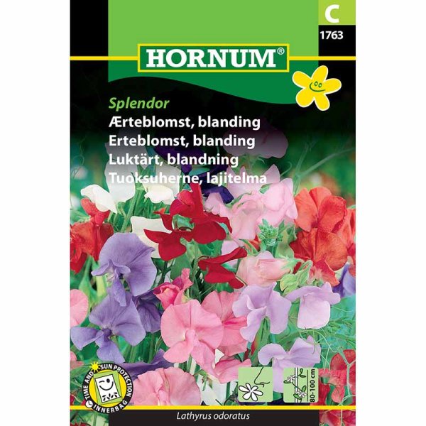 Tuoksuherne 'Splendor'