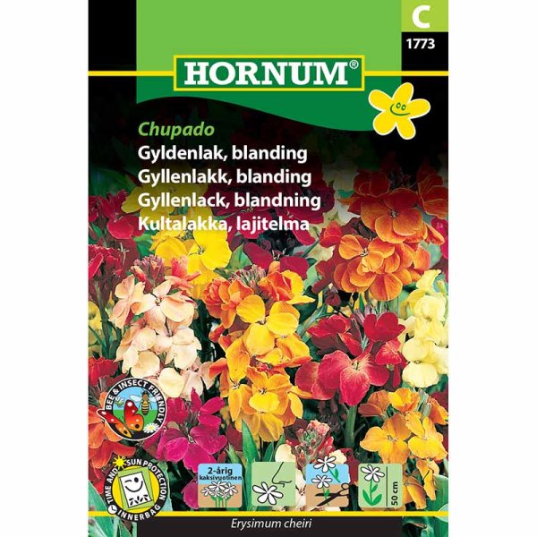 Iltakukinto 'Chupado'