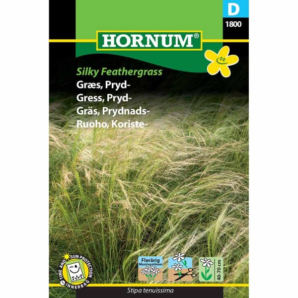 Koristeheinä 'Silky Feathergrass'