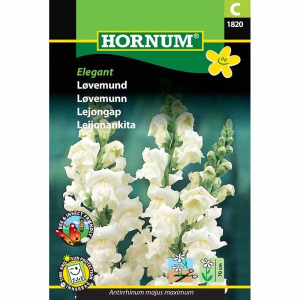 Leijonankita 'Elegant'