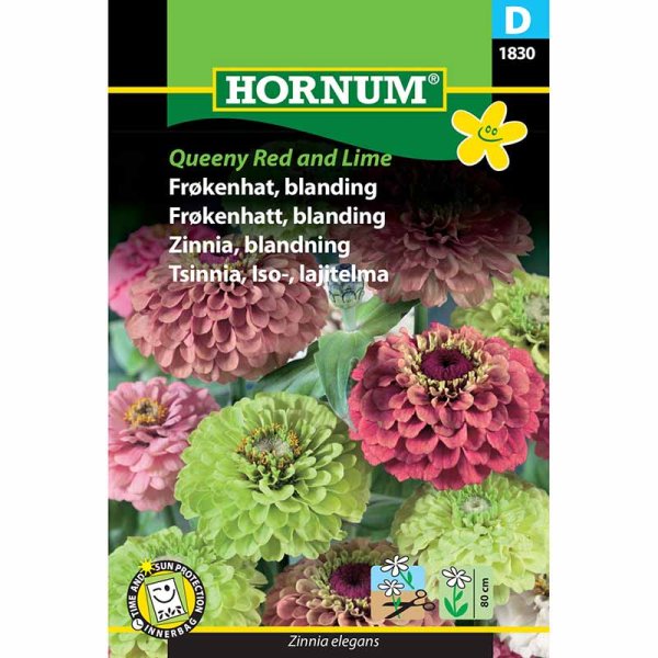 Tsinnia 'Queeny Red and Lime'
