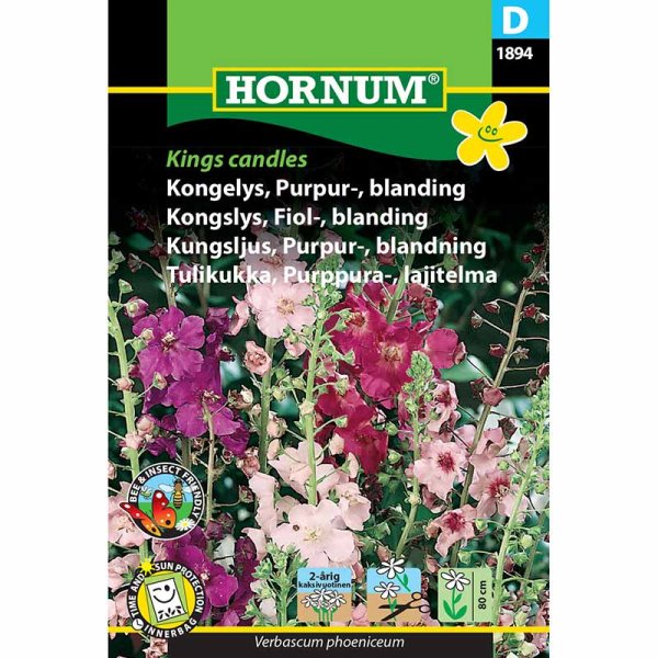 Purppurakuningaskynttilä 'Kings Candles'