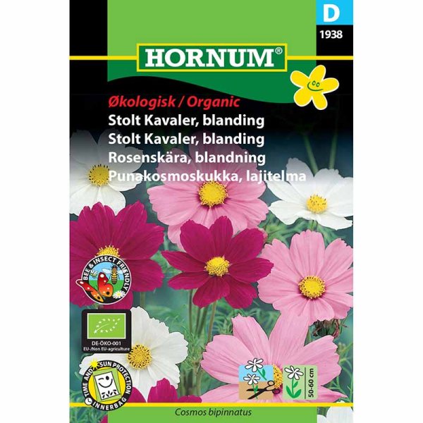 Kosmoskukka 'Cosmea'