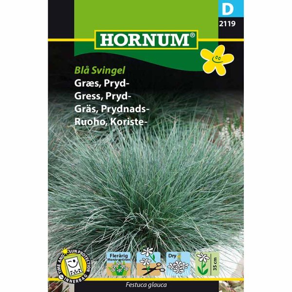 Koristeheinä Sininata