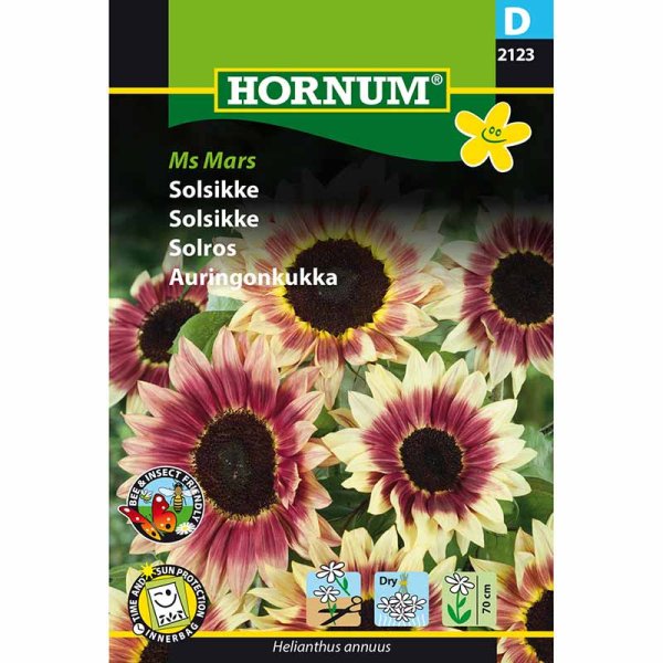 Auringonkukka 'Ms Mars'