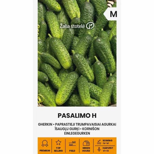 Avomaankurkku 'Pasalimo' F1