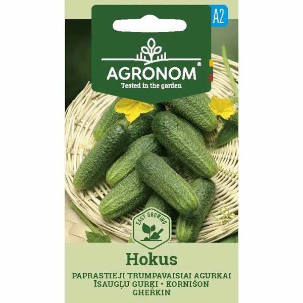 Kurkku 'Hokus'