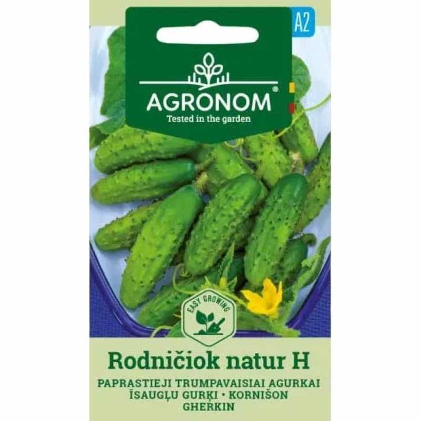 Avomaankurkku 'Rodničiok Natur' F1