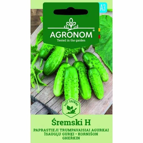 Kurkku 'Śremski' F1