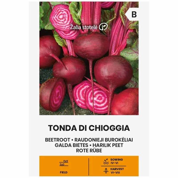 Punajuuri 'Tonda di chioggia'