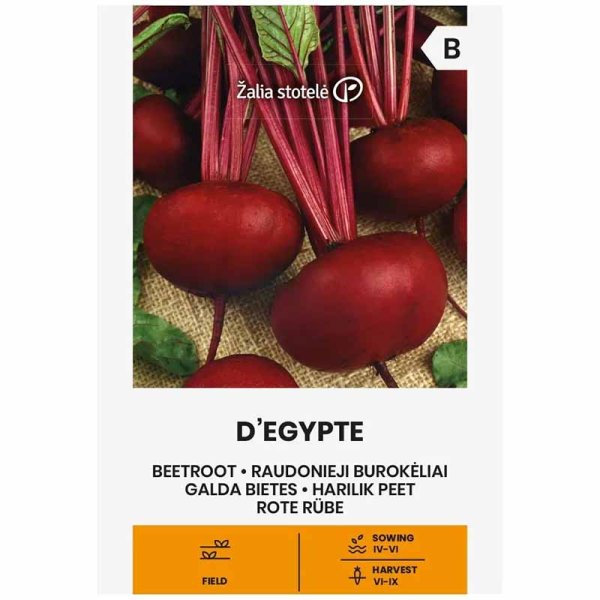 Punajuuri 'D'Egypte'