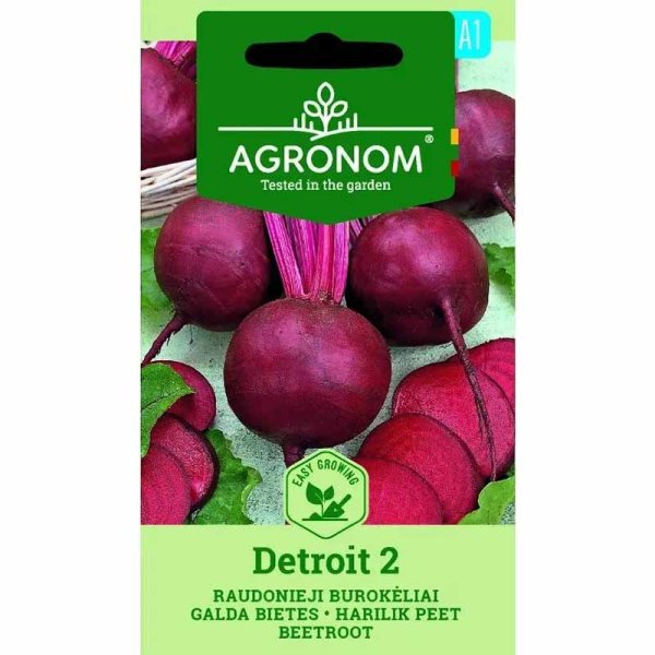 Punajuuri 'Detroit 2'