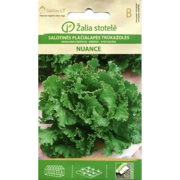 Punainen sikuri 'Nuance'