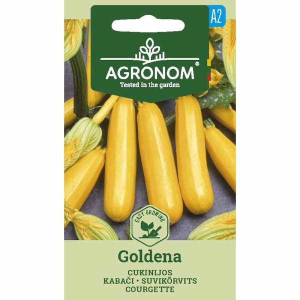 Kesäkurpitsa 'Goldena'