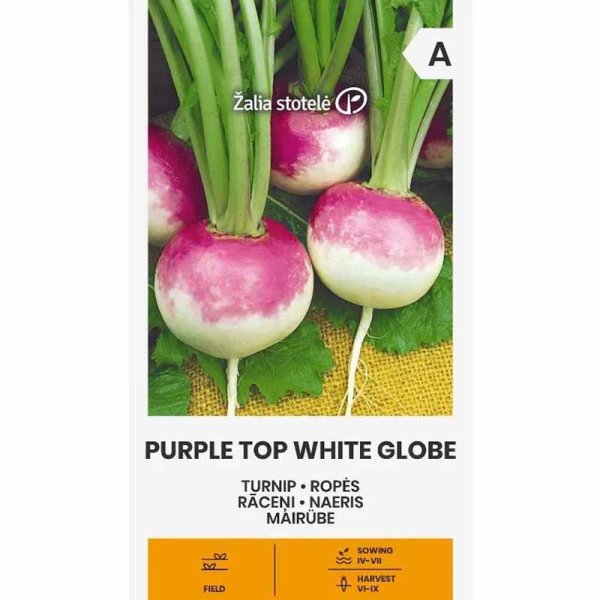Kyssäkaali 'Purple Top White Globe'