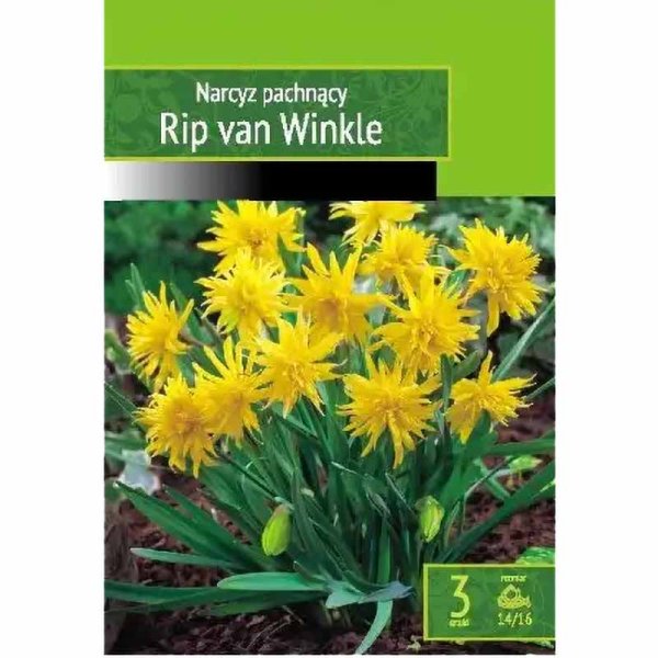 Luminarssi 'Rip Van Winkle'