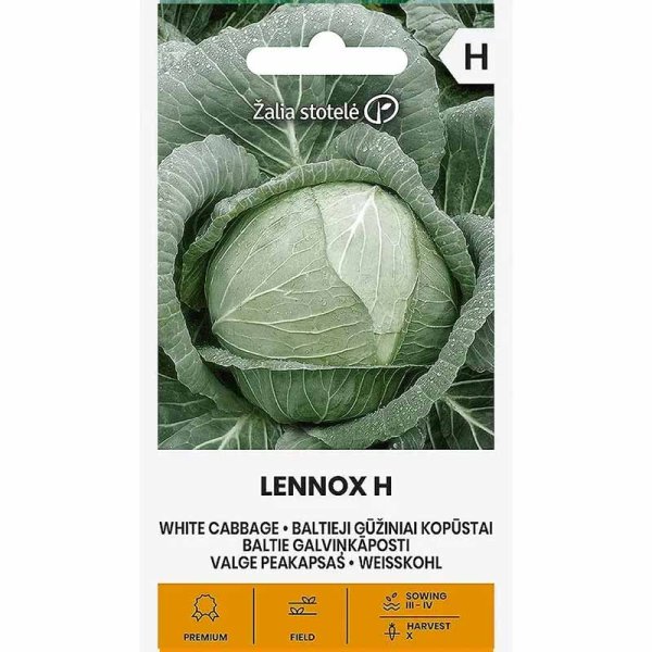 Valkokaali 'Lennox' H