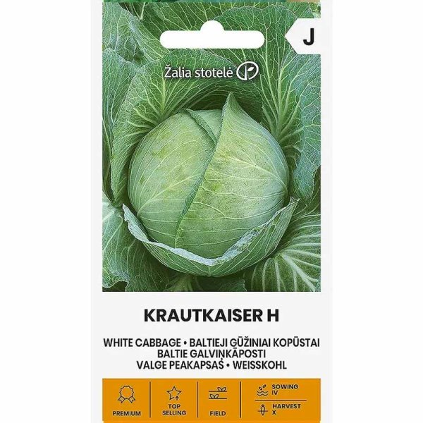 Valkokaali 'Krautkaiser' H
