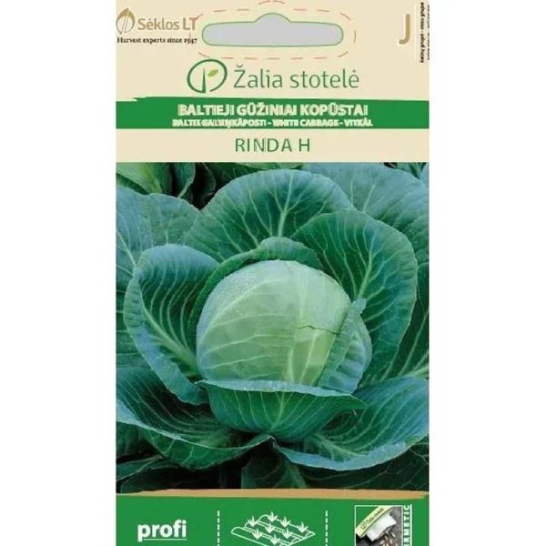 Valkokaali 'Rinda' H