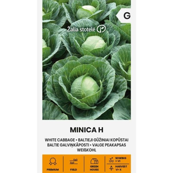 Valkokaali 'Minica' H