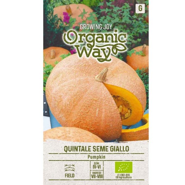 Kurpitsa 'Quintale seme giallo'