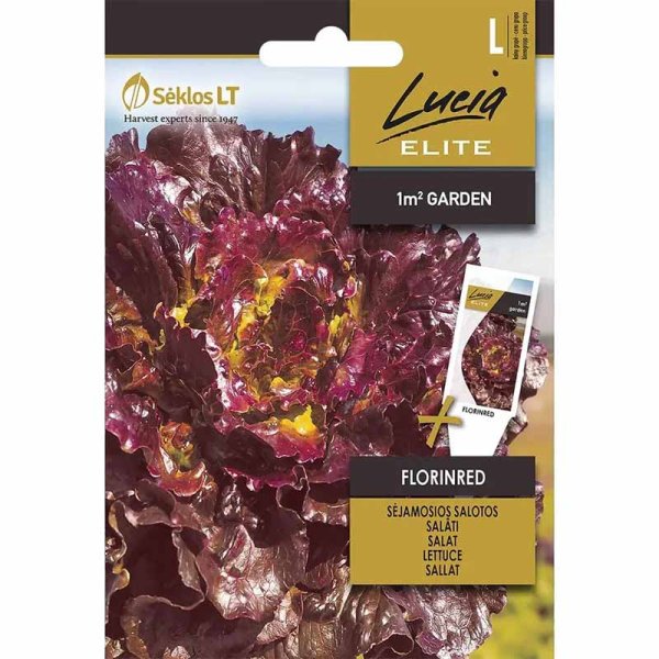 Salaatti 'Florinred'