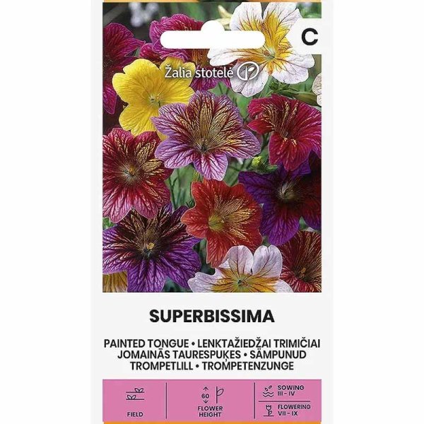 Trumpettikukka 'Superbissima'