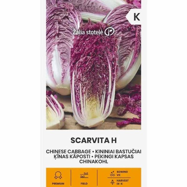 Kiínankaali 'Scarvita' h