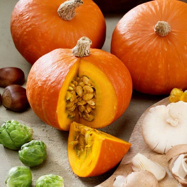 Kurpitsa 'Gold nugget'