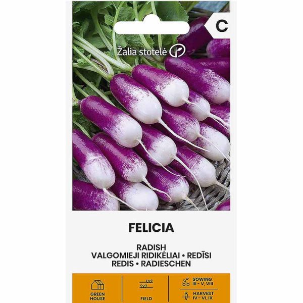 Retiisi 'Felicia'