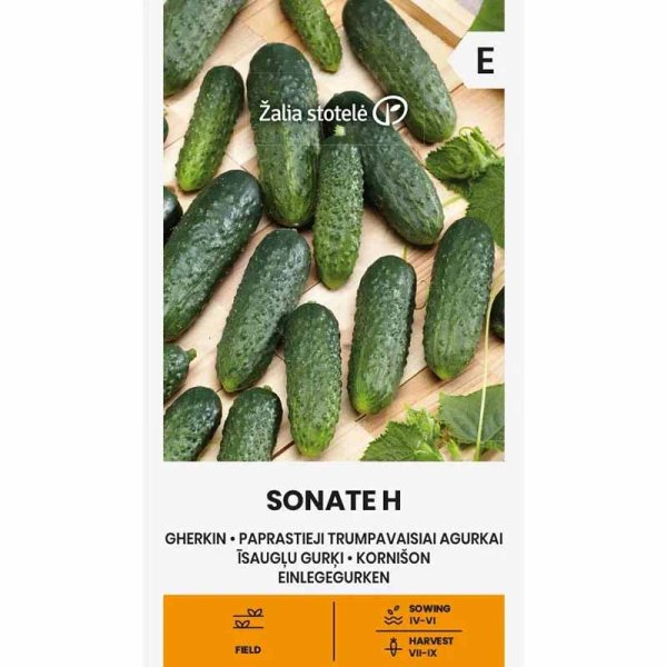 Kurkku 'Sonate' F1