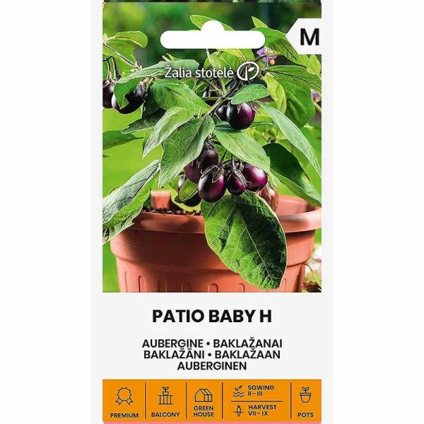 Munakoiso 'Patio baby' h
