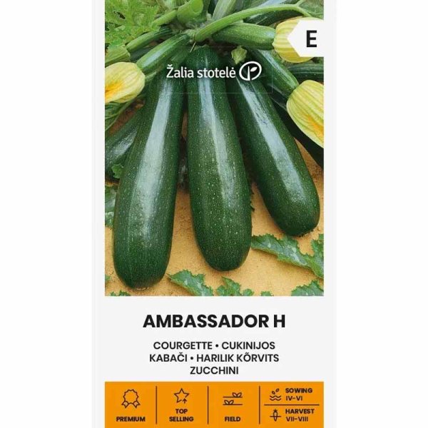 Kesäkurpitsa 'Ambassador' h