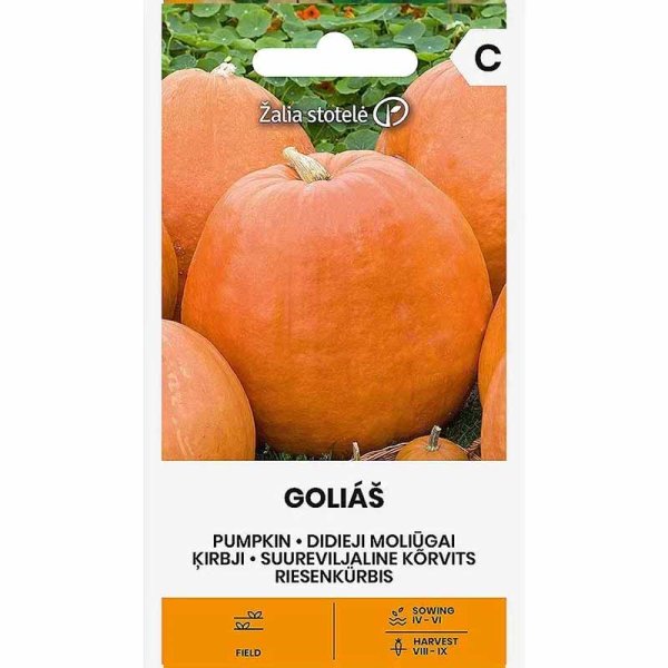Jättikurpitsa 'Golias'