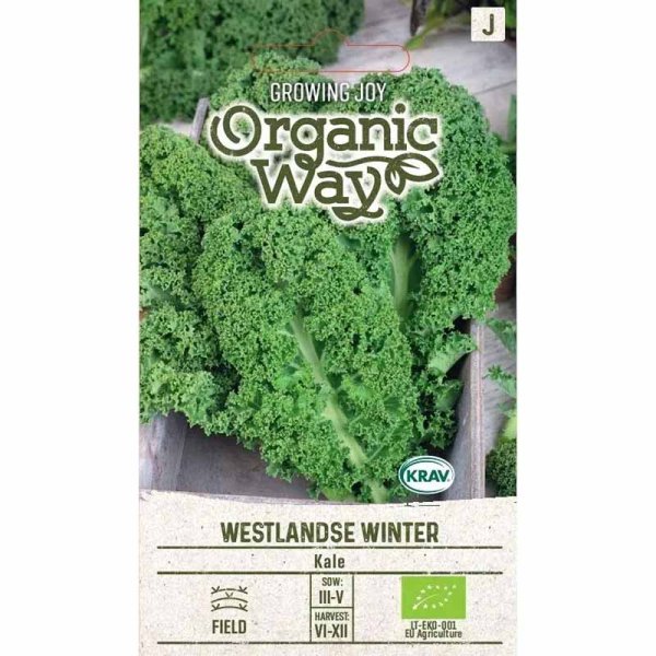 Lehtikaali 'Westlandse winter'