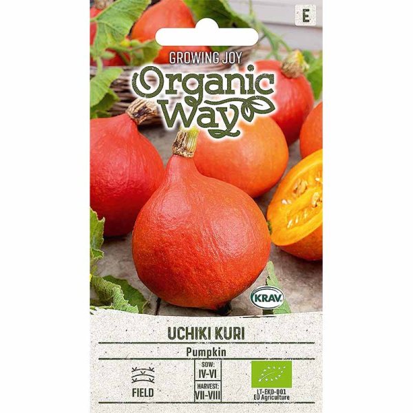 Kurpitsa 'Uchhiki Kuri'