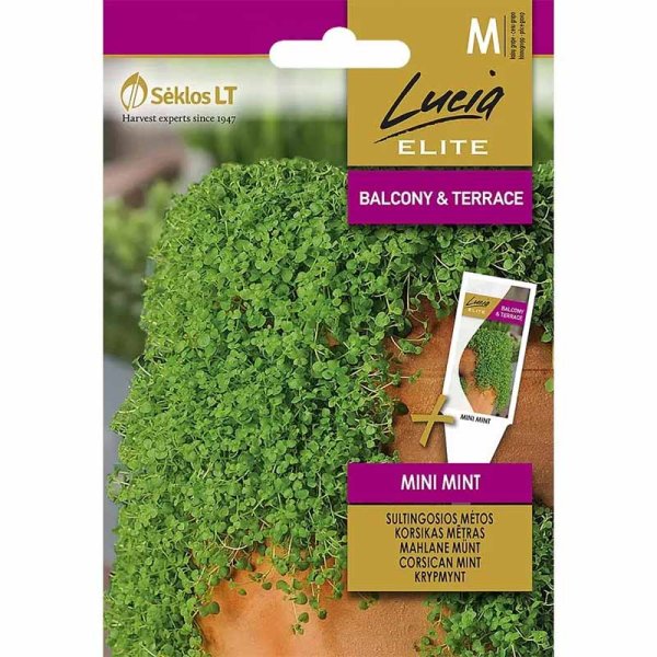 Mateenaminttu 'Mini mint'